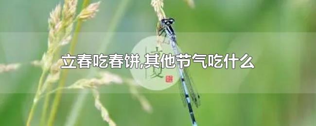 立春吃春饼,其他节气吃什么 立春吃春饼,其他节气吃什么