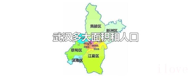 武汉多大面积和人口
