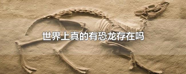 世界上真的有恐龙存在吗 世界上真的有恐龙存在吗