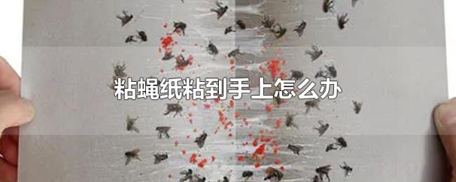 粘蝇纸粘到手上怎么办 粘蝇纸粘到手上怎么办