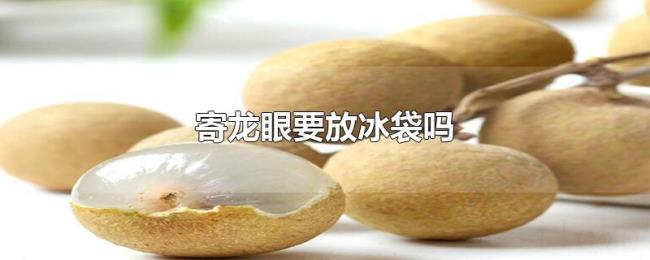 寄龙眼要放冰袋吗 寄龙眼要放冰袋吗