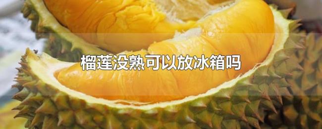 榴莲没熟可以放冰箱吗 榴莲没熟可以放冰箱吗