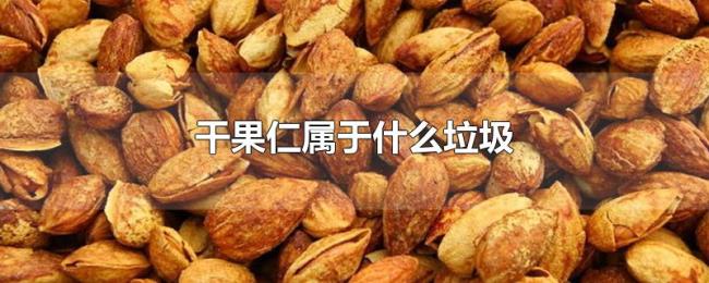 干果仁属于什么垃圾 干果仁属于什么垃圾
