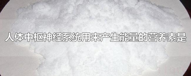 人体中枢神经系统用来产生能量的营养素是 人体中枢神经系统用来产生能量的营养素是