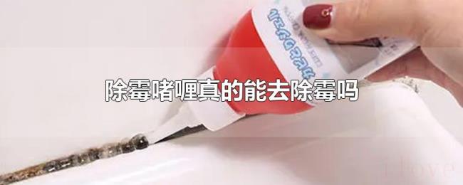 除霉啫喱真的能去除霉吗 除霉啫喱真的能去除霉吗