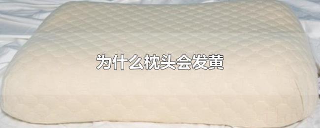 为什么枕头会发黄