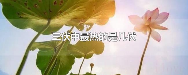 三伏中最热的是几伏 三伏中最热的是几伏
