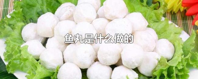 鱼丸是什么做的 鱼丸是什么做的