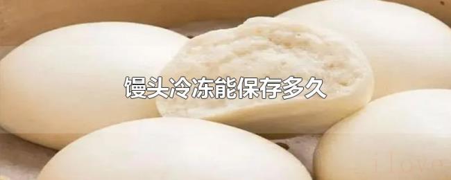 馒头冷冻能保存多久 馒头冷冻能保存多久