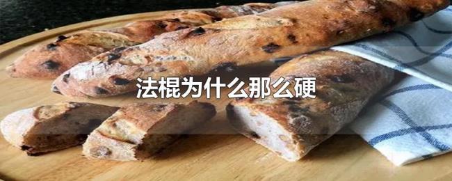 法棍为什么那么硬 法棍为什么那么硬