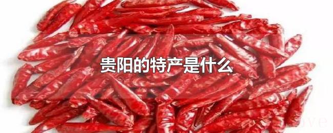 贵阳的特产是什么