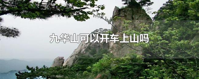 九华山可以开车上山吗 九华山可以开车上山吗