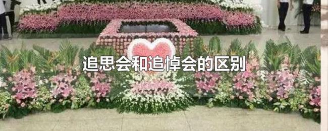 追思会和追悼会的区别 追思会和追悼会的区别