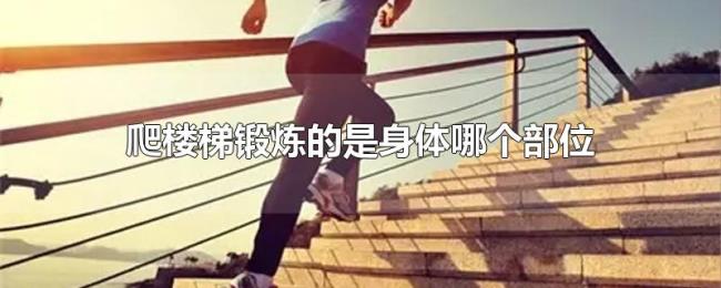 爬楼梯锻炼的是身体哪个部位 爬楼梯锻炼的是身体哪个部位