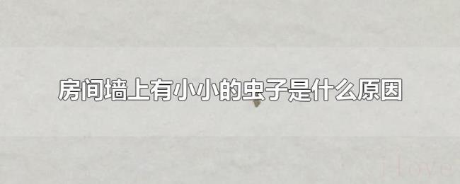 房间墙上有小小的虫子是什么原因