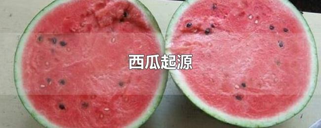 西瓜起源 西瓜起源