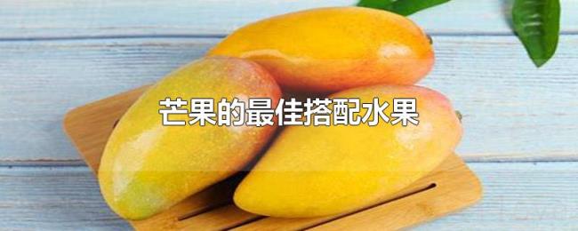 芒果的最佳搭配水果