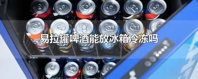 易拉罐啤酒能放冰箱冷冻吗