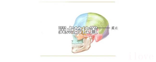 翼点的位置