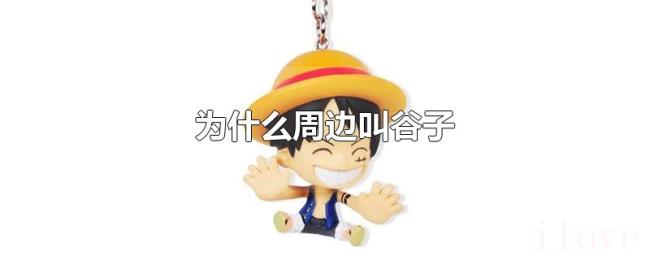 为什么周边叫谷子