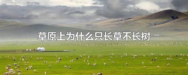 草原上为什么只长草不长树 草原上为什么只长草不长树