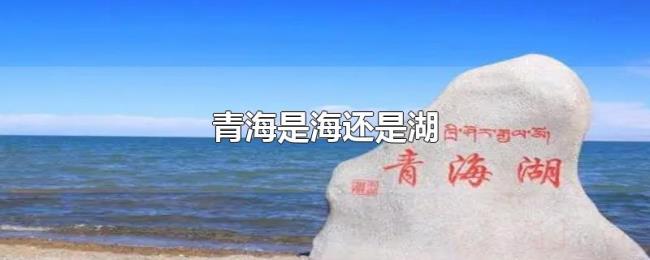 青海是海还是湖 青海是海还是湖