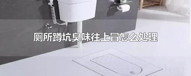 厕所蹲坑臭味往上冒怎么处理 厕所蹲坑臭味往上冒怎么处理