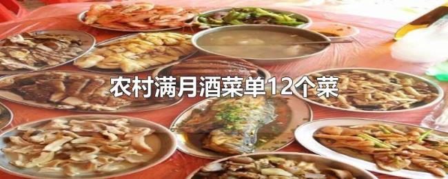 农村满月酒菜单12个菜