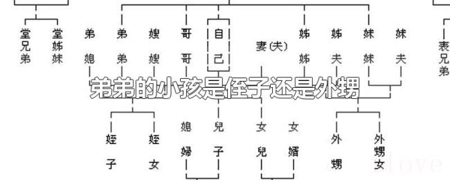 弟弟的小孩是侄子还是外甥