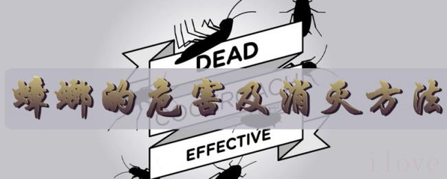 蟑螂的危害及消灭方法 蟑螂的危害及消灭方法