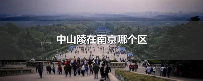 中山陵在南京哪个区