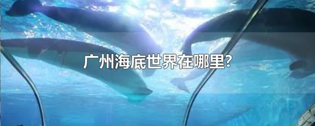 广州海底世界在哪里? 广州海底世界在哪里?