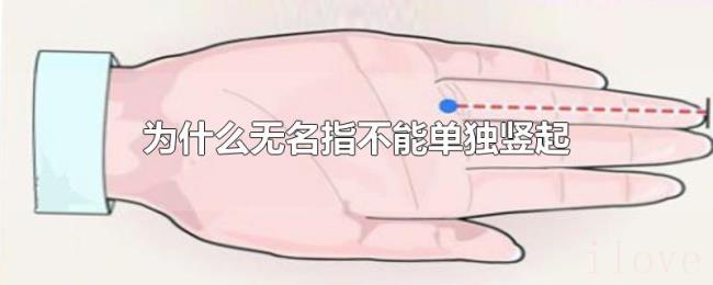 为什么无名指不能单独竖起 为什么无名指不能单独竖起