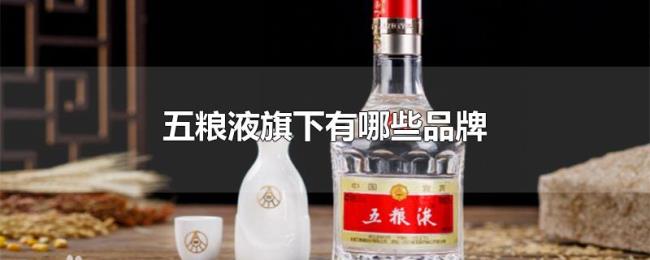 五粮液旗下有哪些品牌