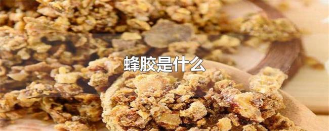 蜂胶是什么 蜂胶是什么