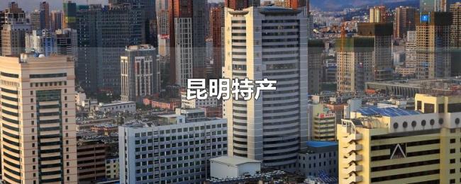 昆明特产 昆明特产