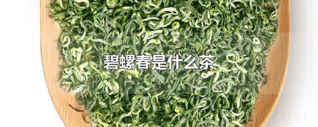 碧螺春是什么茶 碧螺春是什么茶