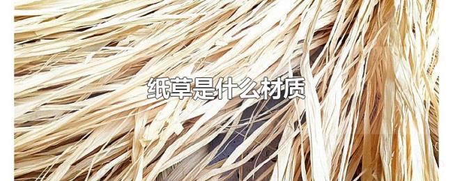 纸草是什么材质 纸草是什么材质