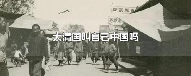 大清国叫自己中国吗