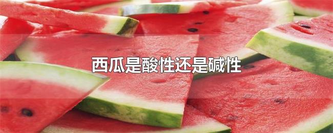 西瓜是酸性还是碱性 西瓜是酸性还是碱性