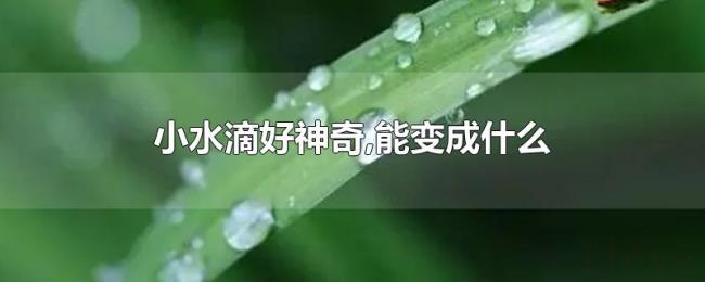 小水滴好神奇,能变成什么