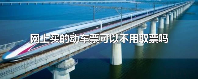网上买的动车票可以不用取票吗 网上买的动车票可以不用取票吗