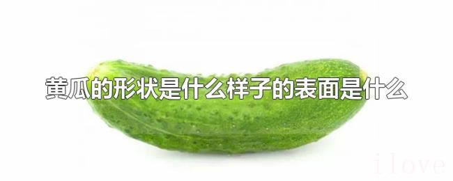 黄瓜的形状是什么样子的表面是什么