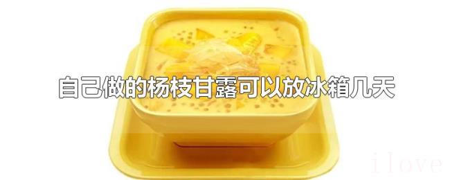 自己做的杨枝甘露可以放冰箱几天