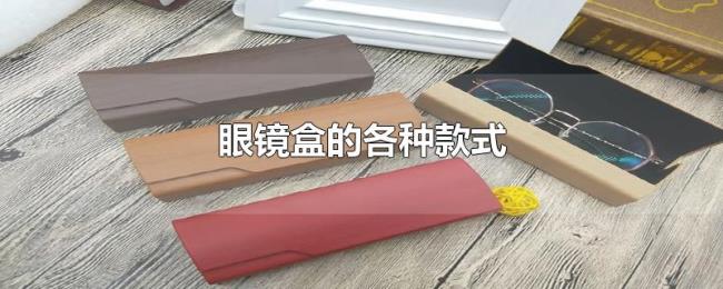 眼镜盒的各种款式 眼镜盒的各种款式