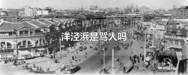 洋泾浜是骂人吗 洋泾浜是骂人吗