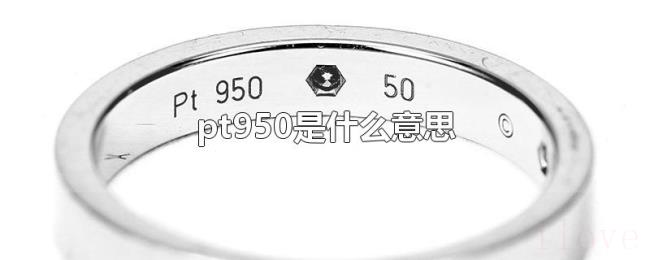 pt950是什么意思 pt950是什么意思