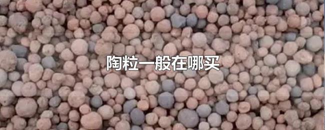 陶粒一般在哪买