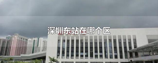 深圳东站在哪个区 深圳东站在哪个区