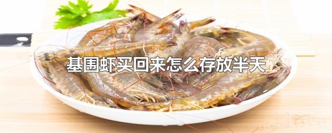基围虾买回来怎么存放半天 基围虾买回来怎么存放半天